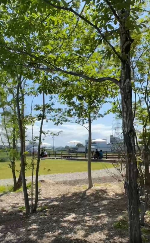 ハルキテラス　220507